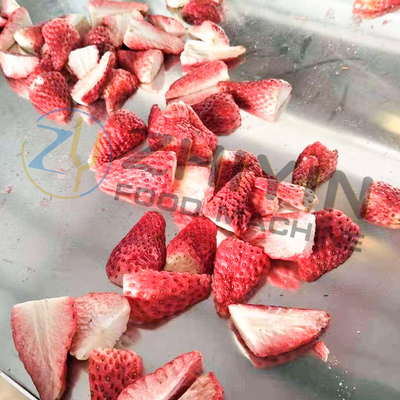 Συσκευή ψύξης αποξηρατήρων τροφίμων μηχανή ψύξης αποξηρατήρων φρούτων και λαχανικών πειραματική ψύξη