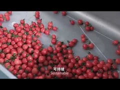 Vegetable washing machine,Fruit cleaning machine