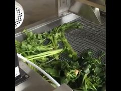 Fruit Vegetable Drying Machine