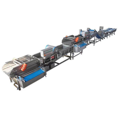 Φουσκάλες SUS304 1000kg/H Ηλεκτρική γραμμή πλύσης λαχανικών