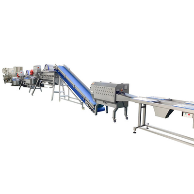 Φουσκάλες SUS304 1000kg/H Ηλεκτρική γραμμή πλύσης λαχανικών